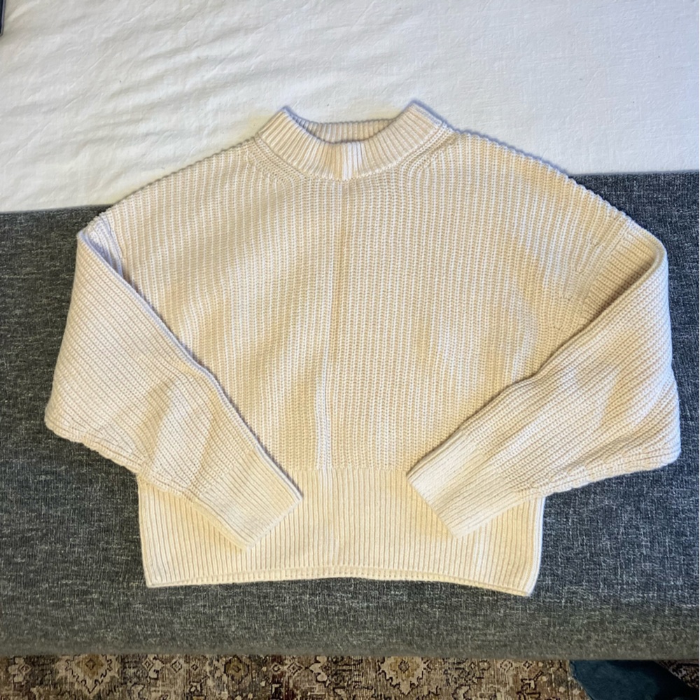 Everlane Organic Cotton Thick Knit Sweater